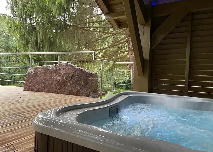 L'ilet Aux 2 Etangs * Saint-Nabord